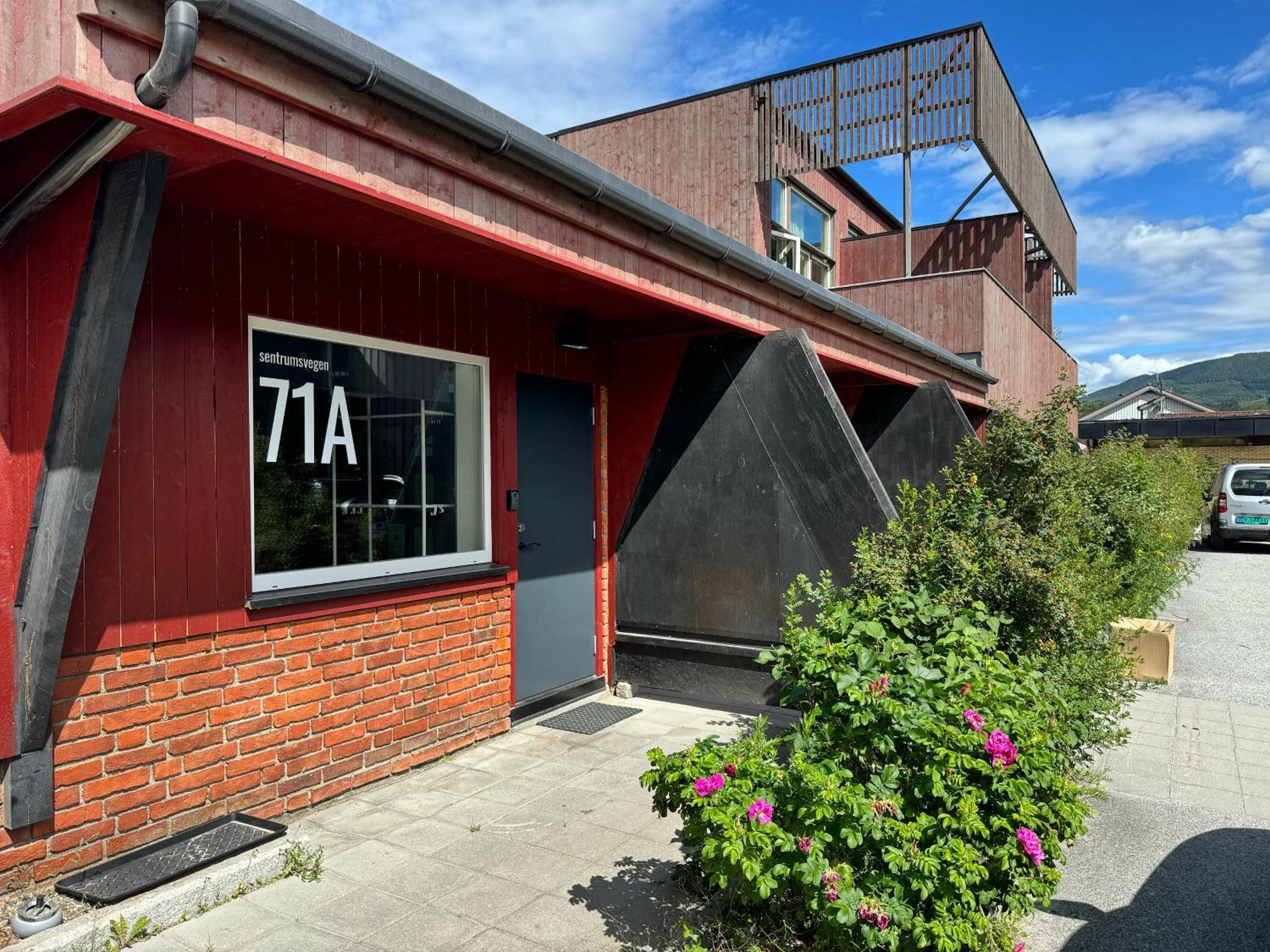 Sentrumsvegen - Private Studio Apartment In Gol Kültér fotó